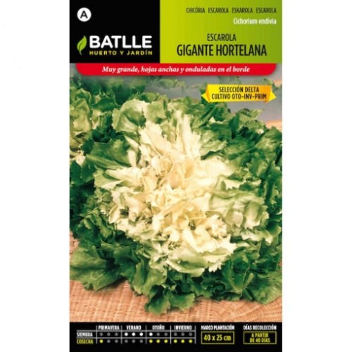 BATLLE SOBRES HORT. ESCAROLA GTE. HORTELANA BATLLE